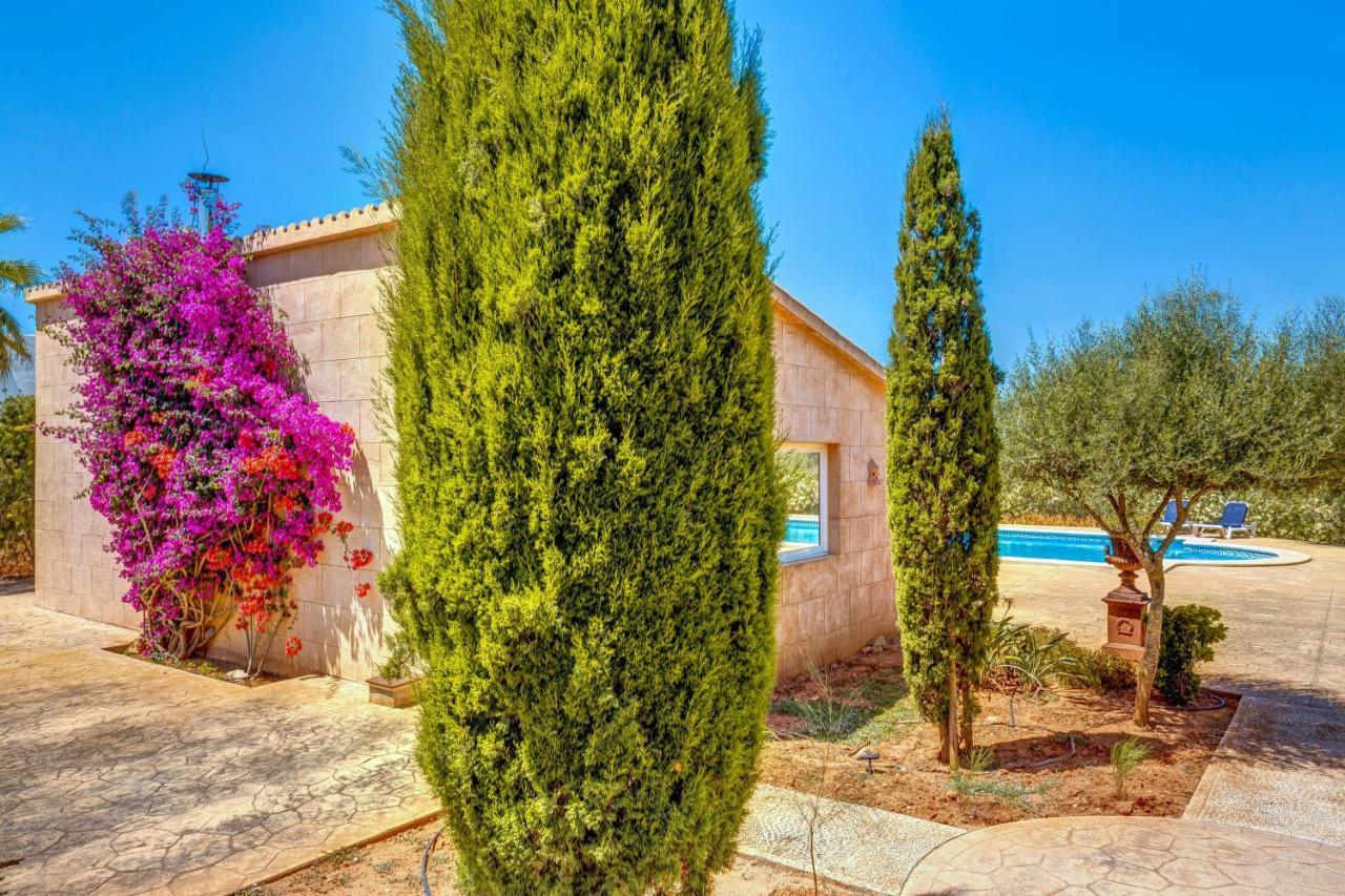 Llimonera Appartement